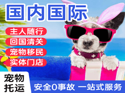 甘孜康定航空快运国际宠物托运 【国